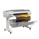 Printing & Publishing