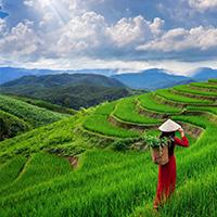 Assam